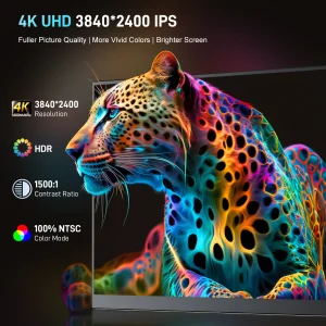 Portable Monitor