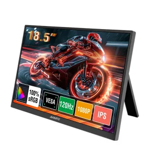 Portable Monitor